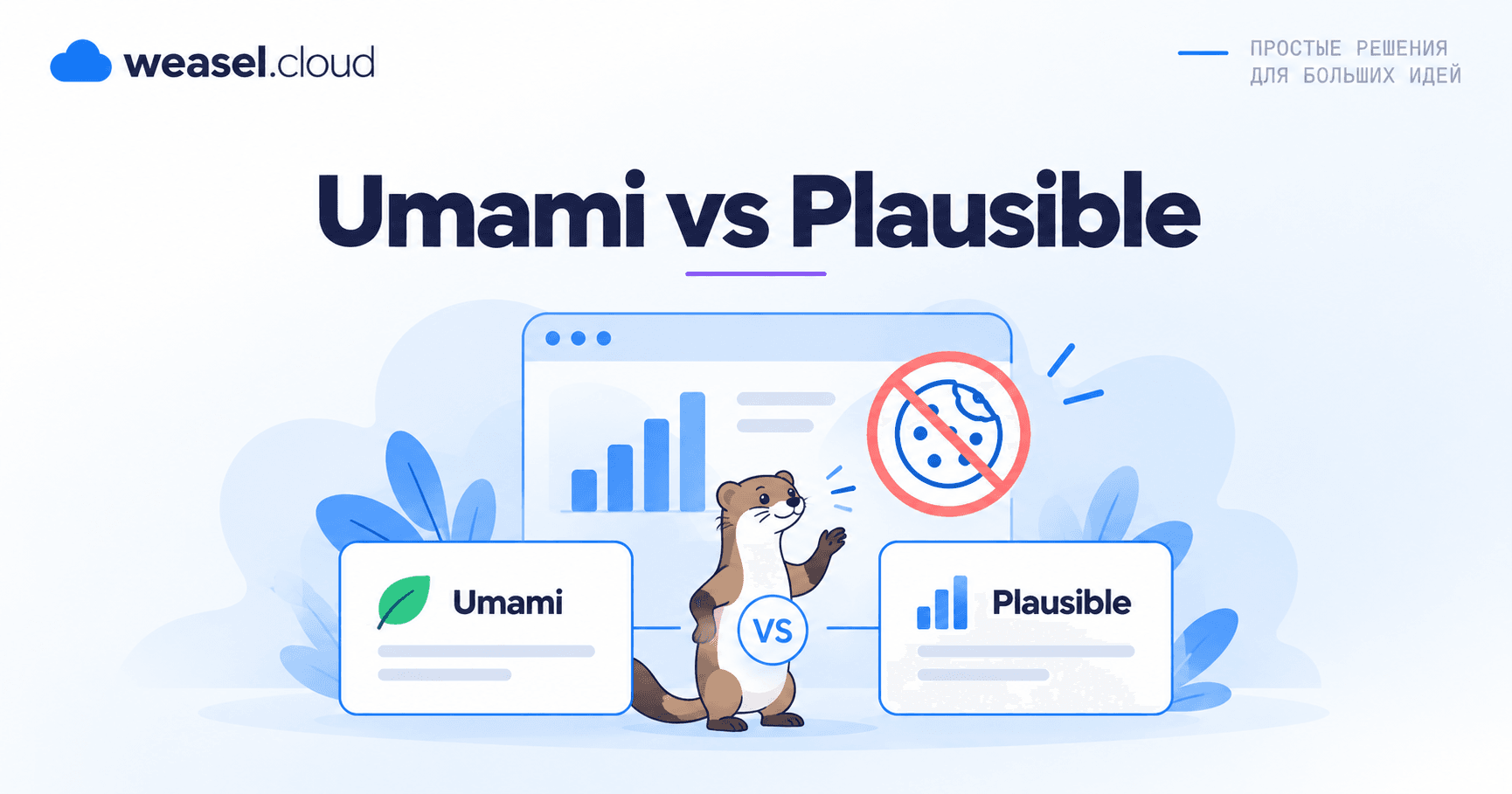 Обложка статьи Umami vs Plausible
