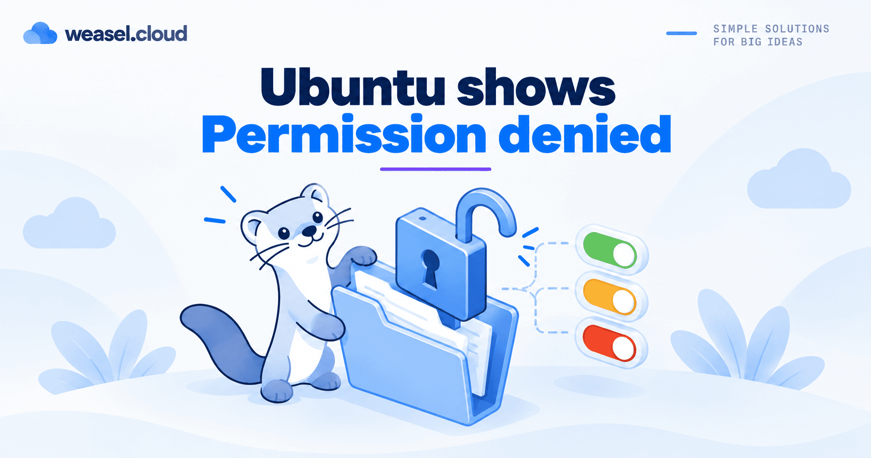 Ubuntu Permission denied - cover EN