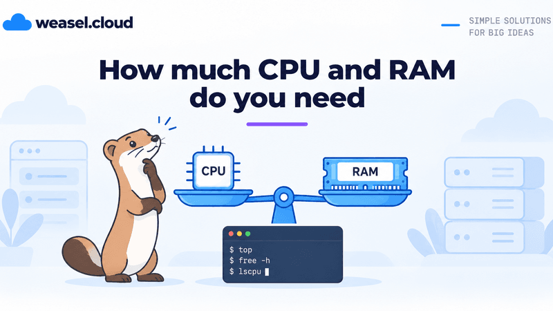 Cover: how much CPU and RAM does a server need